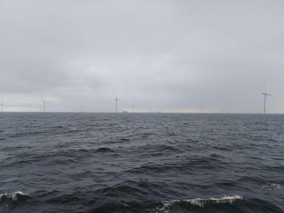 Fewo Nordsee Whng 3 Schillig Eksteriør bilde